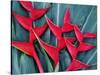 Red Heliconia Flowers-Darrell Gulin-Stretched Canvas