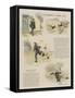 Red Herrings by Parcel Post-Hugh Thomson-Framed Stretched Canvas