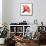 Red Hibiscus-Albert Koetsier-Framed Stretched Canvas displayed on a wall