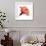 Red Hibiscus-Albert Koetsier-Framed Premium Giclee Print displayed on a wall