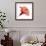 Red Hibiscus-Albert Koetsier-Framed Premium Giclee Print displayed on a wall