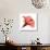 Red Hibiscus-Albert Koetsier-Premium Giclee Print displayed on a wall