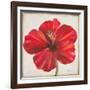 Red Hibiscus-Patricia Pinto-Framed Art Print