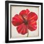 Red Hibiscus-Patricia Pinto-Framed Art Print