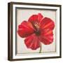 Red Hibiscus-Patricia Pinto-Framed Art Print