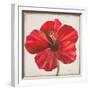 Red Hibiscus-Patricia Pinto-Framed Art Print