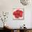 Red Hibiscus-Patricia Pinto-Stretched Canvas displayed on a wall