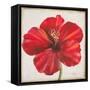 Red Hibiscus-Patricia Pinto-Framed Stretched Canvas