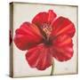 Red Hibiscus-Patricia Pinto-Stretched Canvas