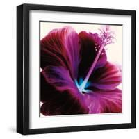 Red Hibiscus-Christine Caldwell-Framed Art Print