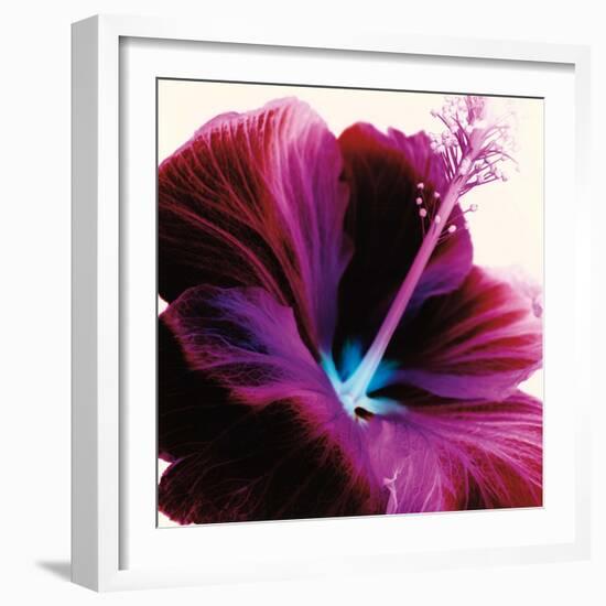 Red Hibiscus-Christine Caldwell-Framed Art Print