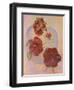 Red Hibiscus-Judy Mastrangelo-Framed Giclee Print