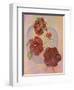 Red Hibiscus-Judy Mastrangelo-Framed Giclee Print