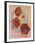 Red Hibiscus-Judy Mastrangelo-Framed Giclee Print