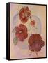 Red Hibiscus-Judy Mastrangelo-Framed Stretched Canvas
