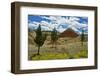Red Hill, Painted Hills, Mitchell, Oregon, USA.-Michel Hersen-Framed Photographic Print