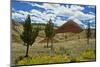 Red Hill, Painted Hills, Mitchell, Oregon, USA.-Michel Hersen-Mounted Photographic Print