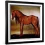 Red Horse II-Elizabeth Medley-Framed Art Print