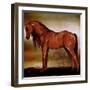 Red Horse II-Elizabeth Medley-Framed Art Print