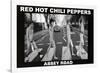 Red Hot Chili Peppers Abbey Road Music Poster Print-null-Framed Poster