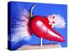 Red Hot Pepper-Alan Sailer-Stretched Canvas