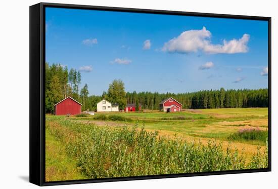 Red Houses in A Rural Landscape-nblx-Framed Stretched Canvas