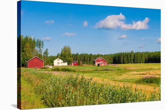 Red Houses in A Rural Landscape-nblx-Stretched Canvas