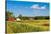 Red Houses in A Rural Landscape-nblx-Stretched Canvas