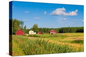 Red Houses in A Rural Landscape-nblx-Stretched Canvas