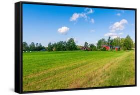 Red Houses in A Rural Landscape-nblx-Framed Stretched Canvas