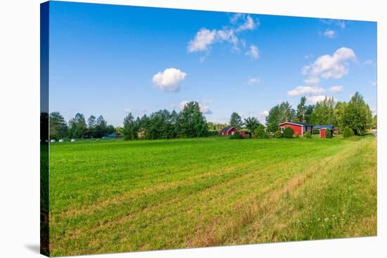 Red Houses in A Rural Landscape-nblx-Stretched Canvas