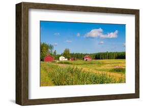 Red Houses in A Rural Landscape-nblx-Framed Photographic Print