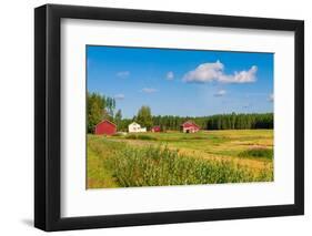 Red Houses in A Rural Landscape-nblx-Framed Photographic Print