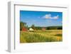 Red Houses in A Rural Landscape-nblx-Framed Photographic Print