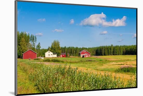 Red Houses in A Rural Landscape-nblx-Mounted Photographic Print