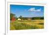 Red Houses in A Rural Landscape-nblx-Framed Photographic Print