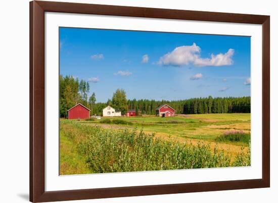 Red Houses in A Rural Landscape-nblx-Framed Photographic Print