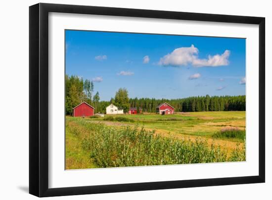 Red Houses in A Rural Landscape-nblx-Framed Photographic Print