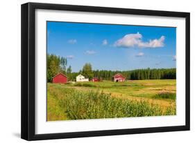 Red Houses in A Rural Landscape-nblx-Framed Photographic Print