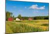 Red Houses in A Rural Landscape-nblx-Mounted Photographic Print