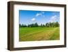 Red Houses in A Rural Landscape-nblx-Framed Photographic Print