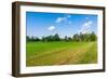 Red Houses in A Rural Landscape-nblx-Framed Photographic Print