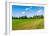 Red Houses in A Rural Landscape-nblx-Framed Photographic Print