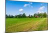 Red Houses in A Rural Landscape-nblx-Mounted Photographic Print