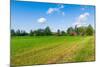 Red Houses in A Rural Landscape-nblx-Mounted Photographic Print