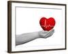 Red Human Heart Sign or Symbol with Pulse Held in Human Man or Woman Hands-bestdesign36-Framed Premium Photographic Print