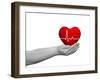 Red Human Heart Sign or Symbol with Pulse Held in Human Man or Woman Hands-bestdesign36-Framed Photographic Print