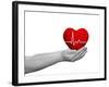 Red Human Heart Sign or Symbol with Pulse Held in Human Man or Woman Hands-bestdesign36-Framed Photographic Print