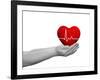 Red Human Heart Sign or Symbol with Pulse Held in Human Man or Woman Hands-bestdesign36-Framed Photographic Print