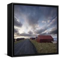 Red Huts and Sheep at Sunset on Coast, Lofoten Islands, Norway, Scandinavia, Europe-Purcell-Holmes-Framed Stretched Canvas